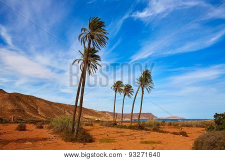 Almeria in Cabo de Gata Playazo Rodalquilar beach at Mediterranean Spain