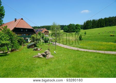 Beautiful Landscape With Country Houses In The Black Forest