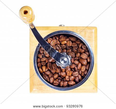 Coffee In A Coffee Grinder