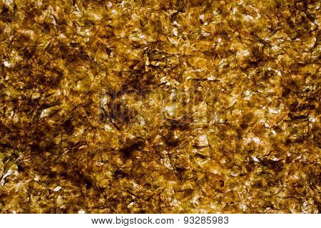 Abstract Background