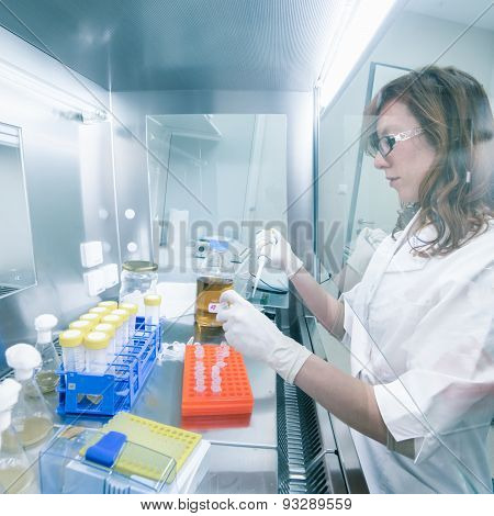 Life scientist researching in the laboratory.