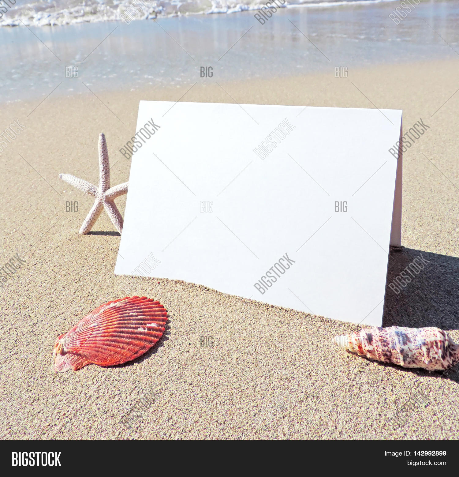 Beach Blank Greeting Image & Photo (Free Trial) Bigstock