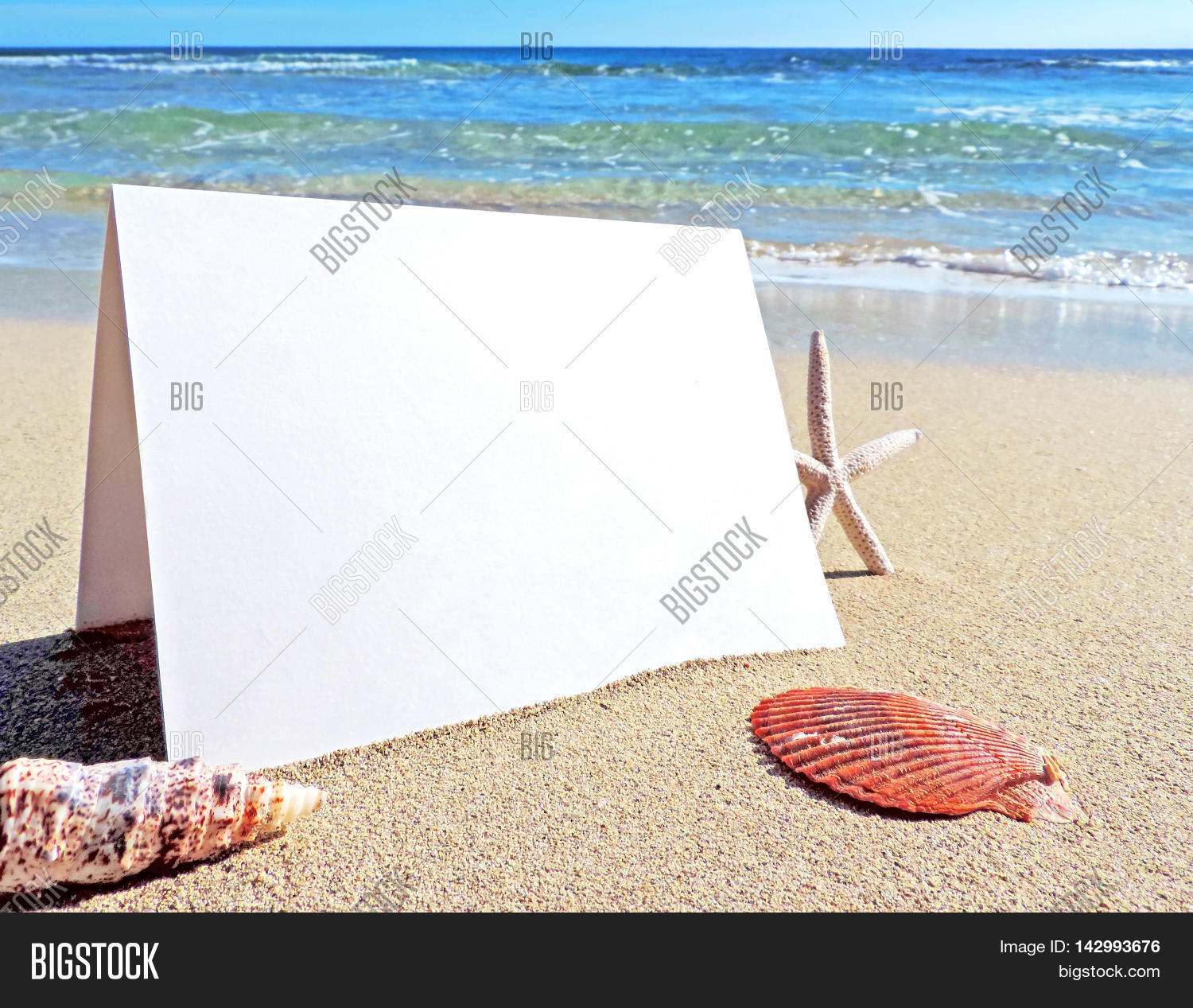 Beach Blank Greeting Image & Photo (Free Trial) Bigstock