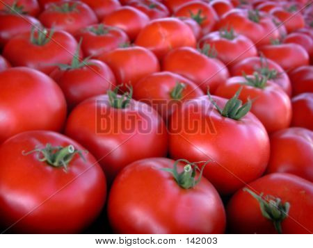 Pomodori