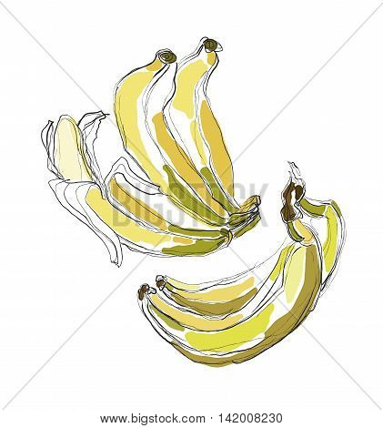 Set of Cartoon Yellow Bananas. Freehand drawing. Vector illustration