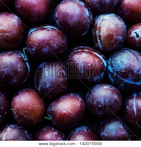Fresh plums on a dark wood background. Top view image. Ripe Plums Texture