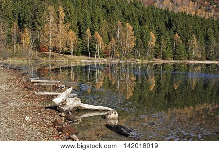 Autumn at the lake shore with reflection of trees in water