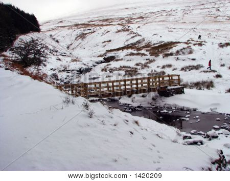 Snowy Stream