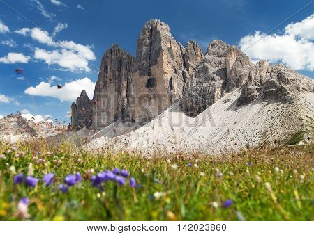 Drei Zinnen or Tre Cime di Lavaredo with beautiful flowering meadow Sextener Dolomiten or Dolomiti di Sesto South Tirol Dolomiten mountains view Italien Alps