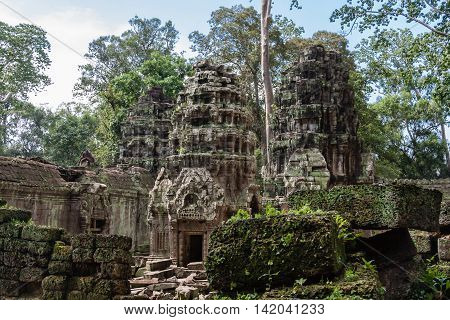 Majestic Ta Prohm Temple Angkor Siem Reap Cambodia