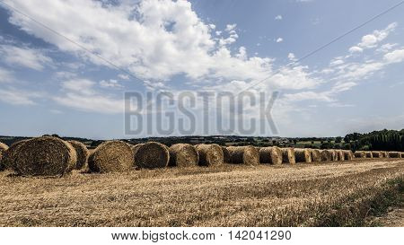hay and straw bales piles it the countryside