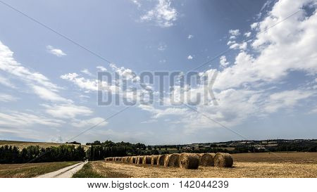 hay and straw bales piles it the countryside