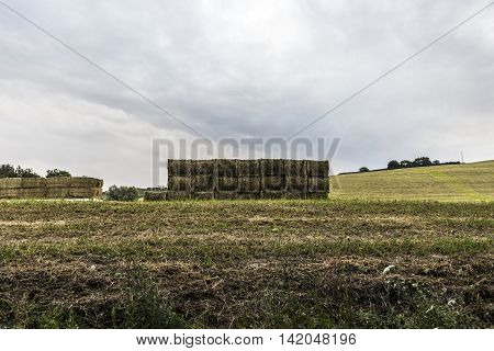 hay and straw bales piles it the countryside
