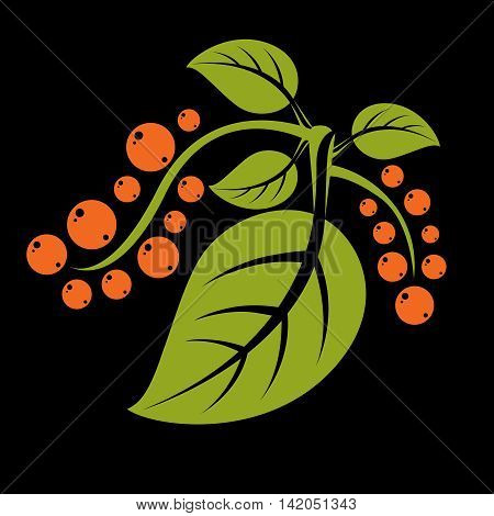 Simple green vector tree leaf with tendrils and orange seeds stylized nature element.