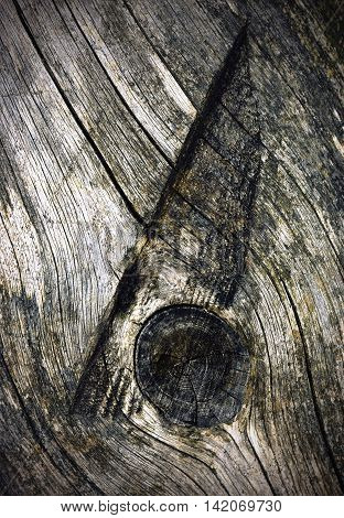 abstract background or texture cut twig on old wood
