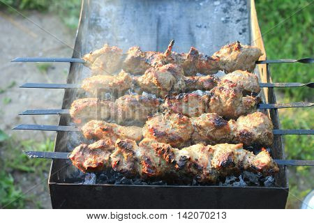 Shashlick laying on the grill close up