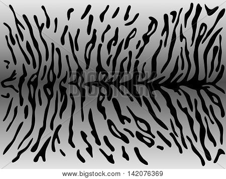 Tiger Asymmetric Strips