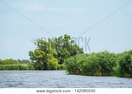 Landscape on the river Peene near Loitz (Germany).