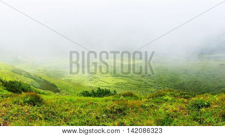 View from the top of Carpathian mountains above the clouds. Chornogora ridge