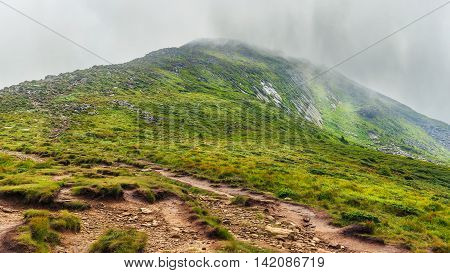 Mountain trail to the top of Hoverla mount in Carpathians Ukraine