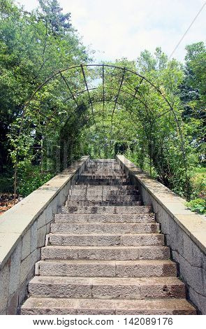beautiful old stone stairs natural stone diabase with stone steps with greenery arch in summer park outside in Crimea