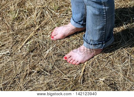 Female feet in rolled blue jeans standing barefoot on dry hay and takes sun bath in sunny day side view close-up