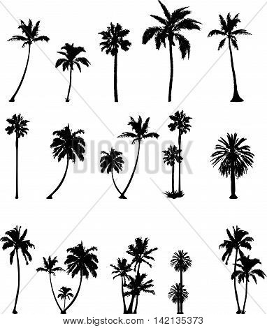 collection of palm silhouttes on the white background