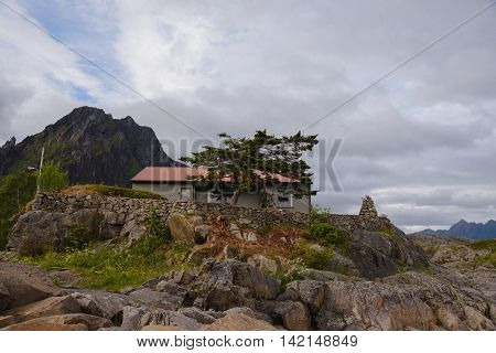 the nature of northern Norway Summer in the mountains
