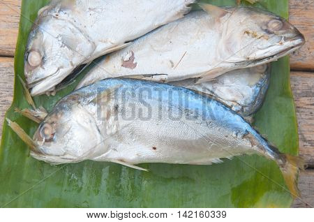 Fresh of Thai mackerel fish on banana leaf