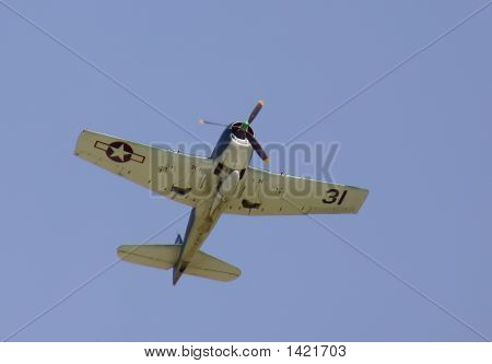 F6F5 cadı