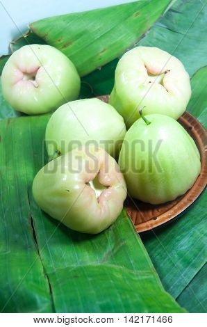 rose apple or chomphu fresh fruit from thailand