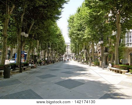 Boulevard Somewhere In Palma De Majorca