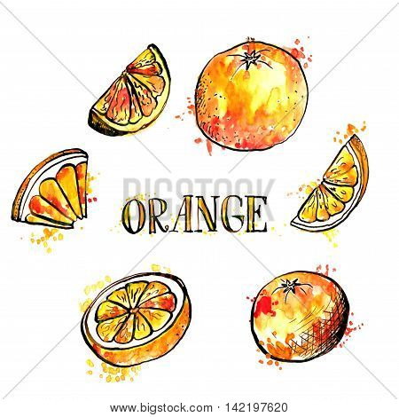 hand drawn oranges, ink and watercolor drawing fruit with paint stains