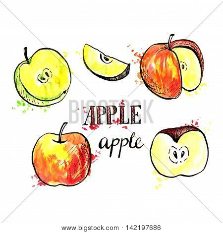 hand drawn apples, ink and watercolor drawing fruit with paint stains