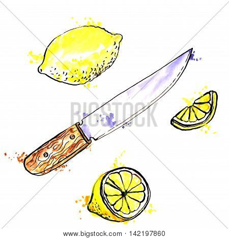 hand drawn lemons and knife, ink and watercolor drawing fruit with paint stains