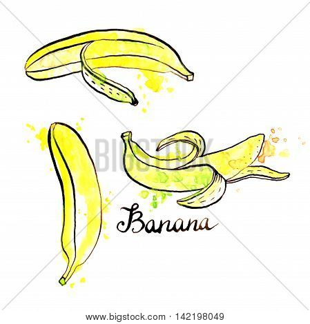 hand drawn yellow bananas, ink and watercolor drawing fruit with paint stains