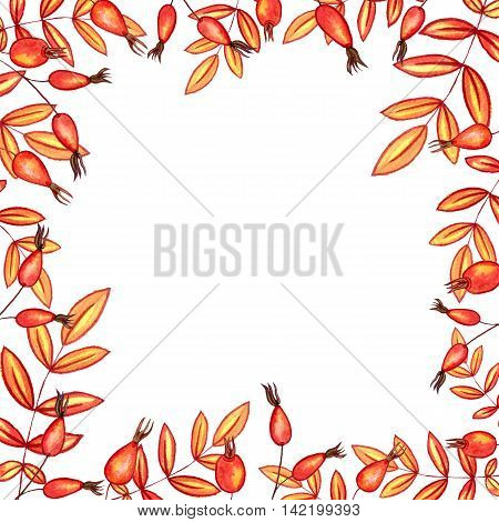 background with autumn watercolor leaves and red berries , nature template, foral frame, hand drawn design elements