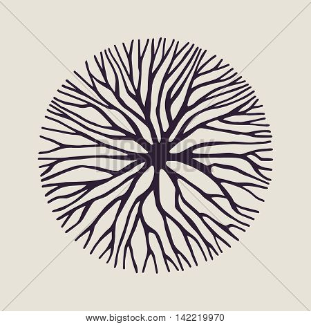 Concept Tree Branch Circle Shape Illustration
