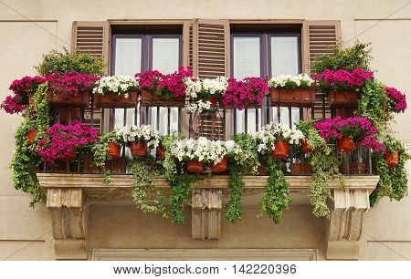 Beautiful Balcony Decorated with Flower Pots at Piazza Navona in Rome