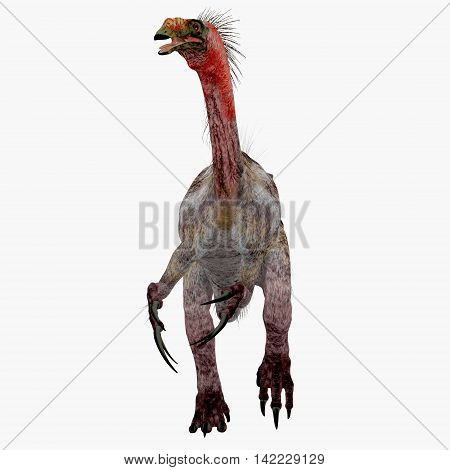 Therizinosaurus Dinosaur on White 3D Illustration - Therizinosaurus was a carnivorous theropod dinosaur that lived in the Cretaceous Period of Mongolia.