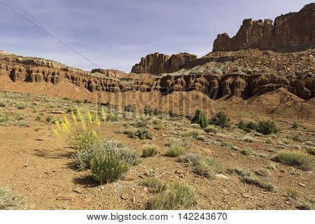 Capital Reef National Park in Spring with many Dramatic Rock Formations.