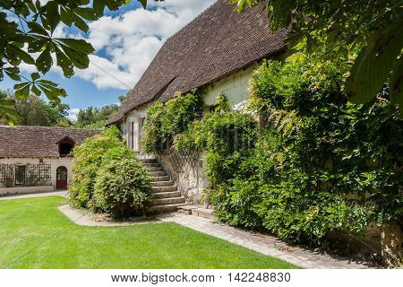 Traditional French farmhouse window with old shabby shutters surrounded by Virginia creeper and Honeysuckle