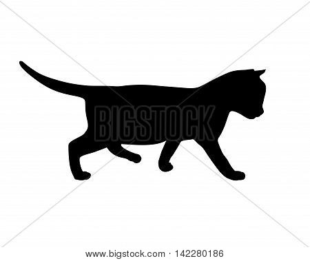 Kitten black silhouette on white backgruond. Vector illustration