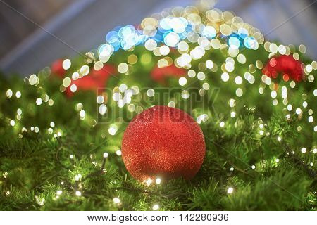 red christmas ball hanging on a christmas tree with little light bulb