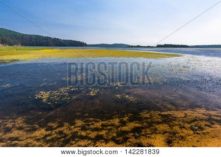 North river Kika forms extensive meadows full of different plants and animals in the place where it flows into lake Baikal.