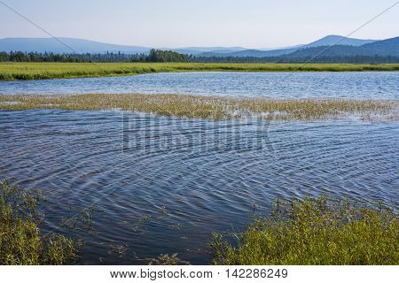 North river Kika forms extensive meadows full of different plants and animals in the place where it flows into lake Baikal.