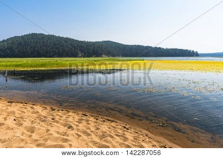 North river Kika forms extensive meadows full of different plants and animals in the place where it flows into lake Baikal.
