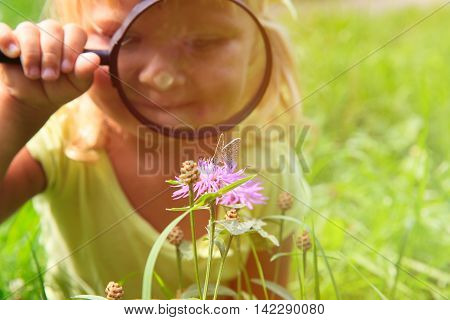 Learning concept- little girl examining batterfies on flower using magnifying glass