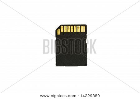 Carte SD isolated on white