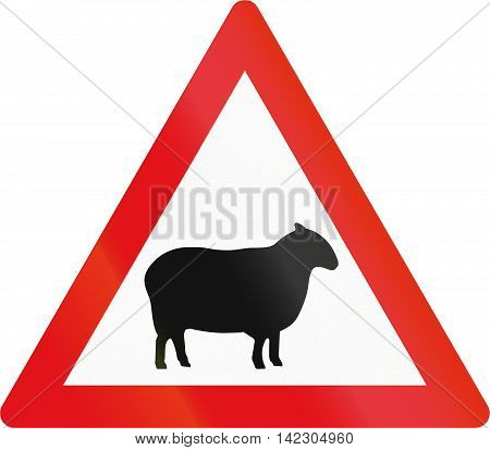 Road Sign Used In The African Country Of Botswana - Sheep